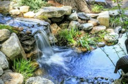 This waterfall was beautifully captured by the homeowner's camera