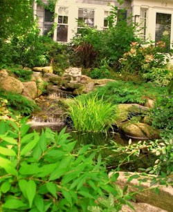 A waterfall flows into a small pond in this Needham front yard