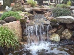 A back yard water feature