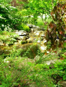 Lush foliage softens the surrounding River 