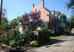 Front entry garden, Brookline 