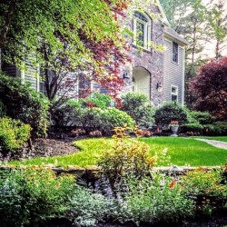 A front foundation garden in Medfield