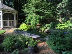 A gazebo further graces this woodland garden