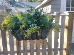 Same container, decorated with fresh cut greenery for a lush winter display