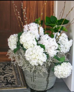 Simple elegance- Hydrangea and Pussy Willow in Italian Ceramic container