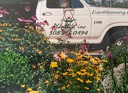 My first dump truck next to a fun perennial garden- 1997