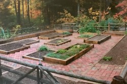 A real oldie- 1991, my first veggie garden install