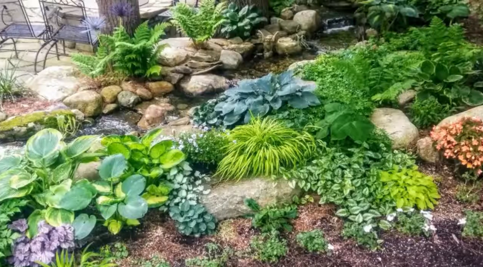 A lovely shade garden