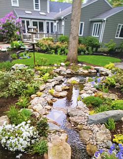 Lush foliage softens the surrounding River